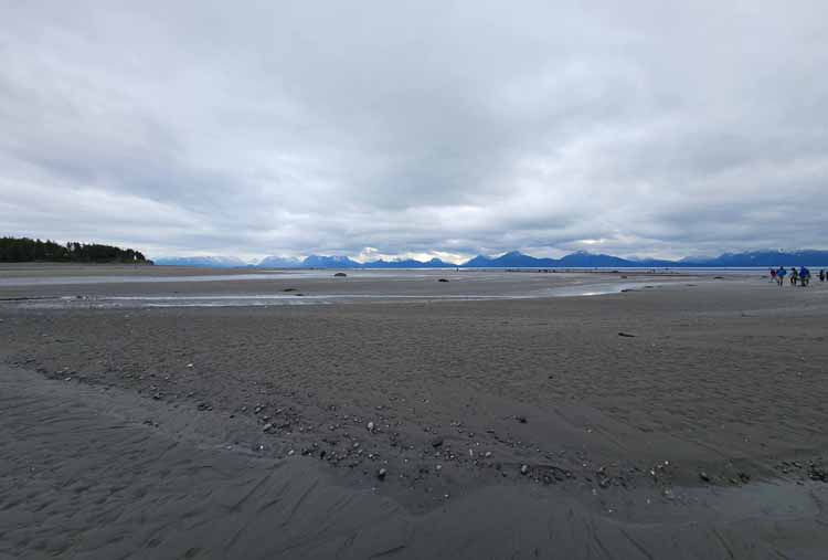 beach at low tide